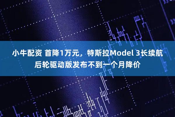 小牛配资 首降1万元，特斯拉Model 3长续航后轮驱动版发布不到一个月降价